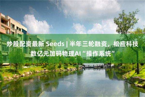 炒股配资最新 Seeds | 半年三轮融资,松应科技数亿元加码物理AI“操作系统”