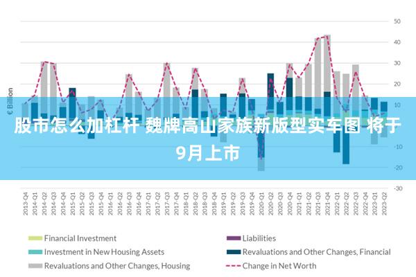股市怎么加杠杆 魏牌高山家族新版型实车图 将于9月上市