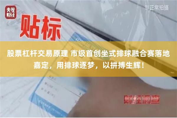 股票杠杆交易原理 市级首创坐式排球融合赛落地嘉定，用排球逐梦，以拼搏生辉！
