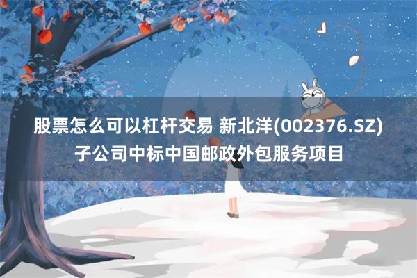 股票怎么可以杠杆交易 新北洋(002376.SZ)子公司中标中国邮政外包服务项目