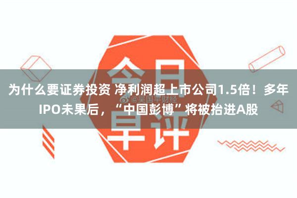 为什么要证券投资 净利润超上市公司1.5倍！多年IPO未果后，“中国彭博”将被抬进A股