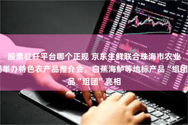股票杠杆平台哪个正规 京东生鲜联合珠海市农业农村局举办特色农产品推介会，白蕉海鲈等地标产品“组团”亮相