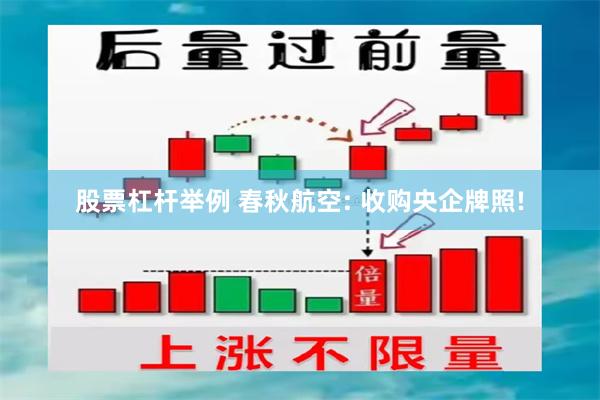 股票杠杆举例 春秋航空: 收购央企牌照!