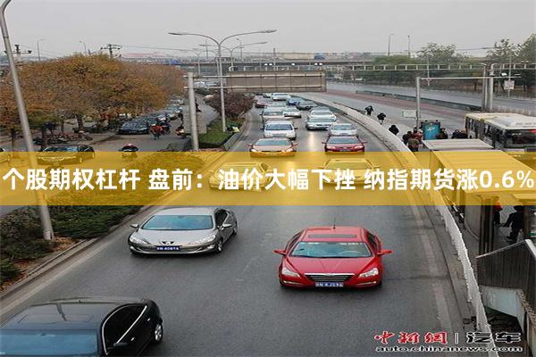 个股期权杠杆 盘前：油价大幅下挫 纳指期货涨0.6%