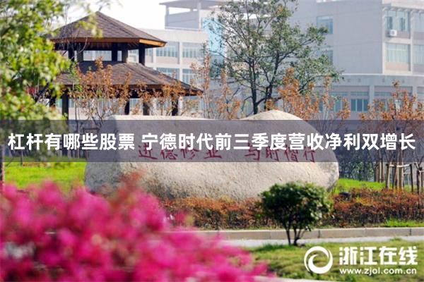 杠杆有哪些股票 宁德时代前三季度营收净利双增长