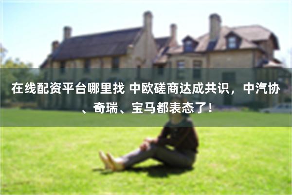 在线配资平台哪里找 中欧磋商达成共识，中汽协、奇瑞、宝马都表态了！